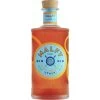 Gin Con Arancia 41% 0,7L